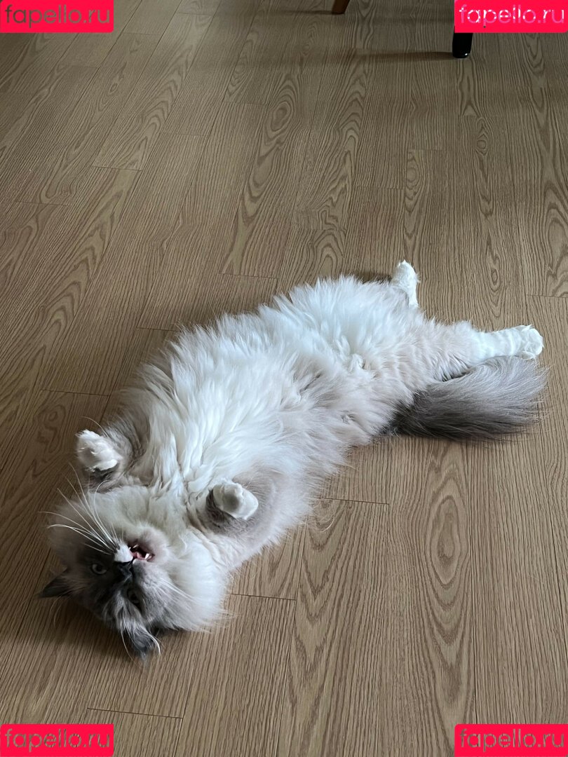 hinachan01 Onlyfans Photo Gallery 