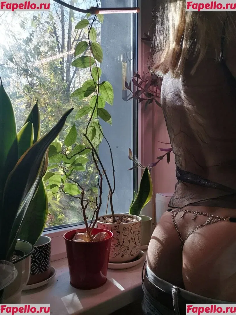 funsnail Onlyfans Photo Gallery 