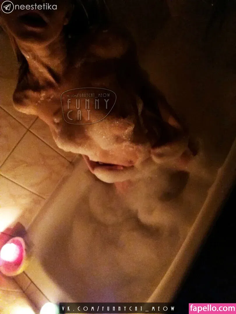 funsnail Onlyfans Photo Gallery 