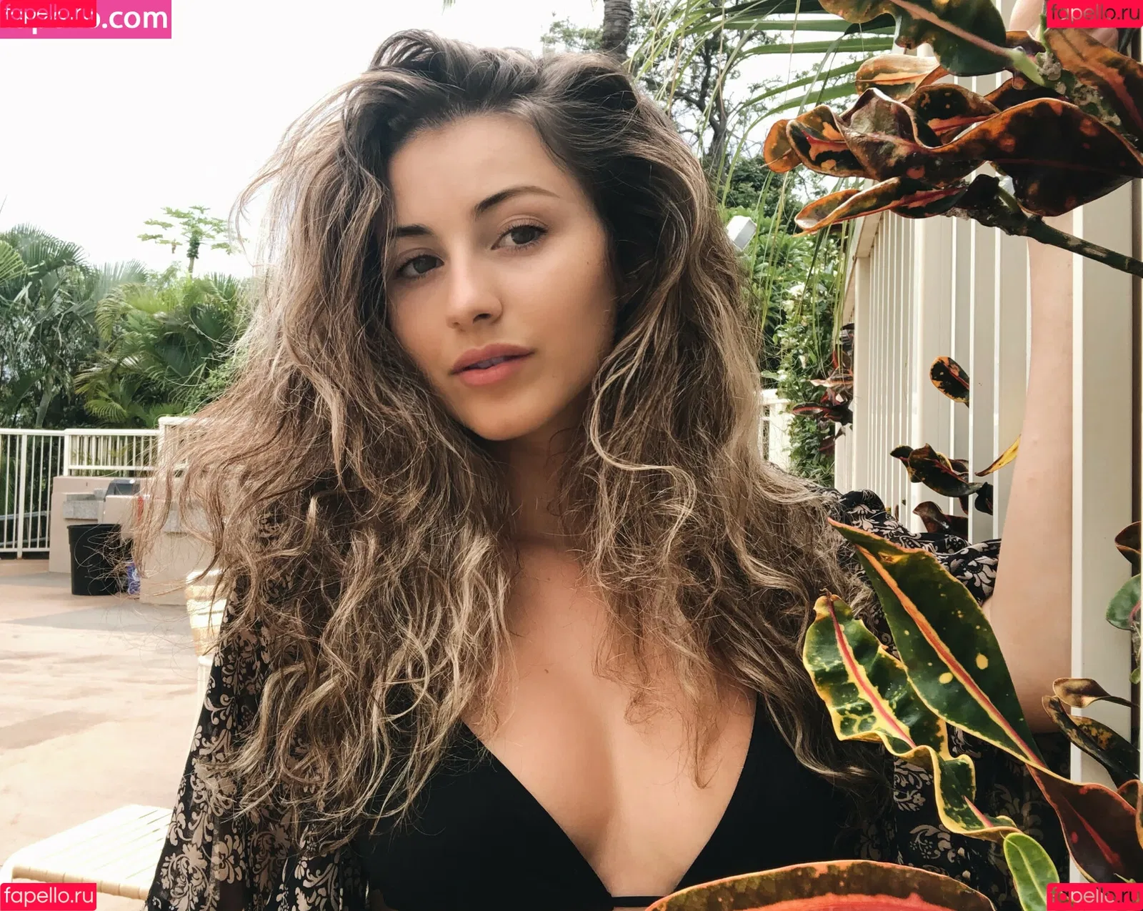 Palmbee Onlyfans Photo Gallery 