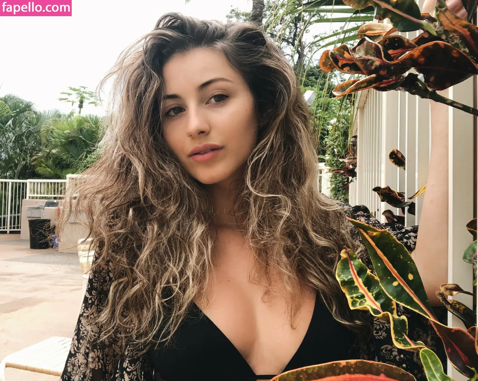 Palmbee Onlyfans Photo Gallery 