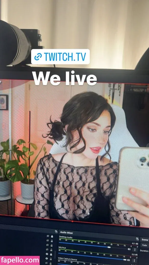 Palmbee Onlyfans Photo Gallery 