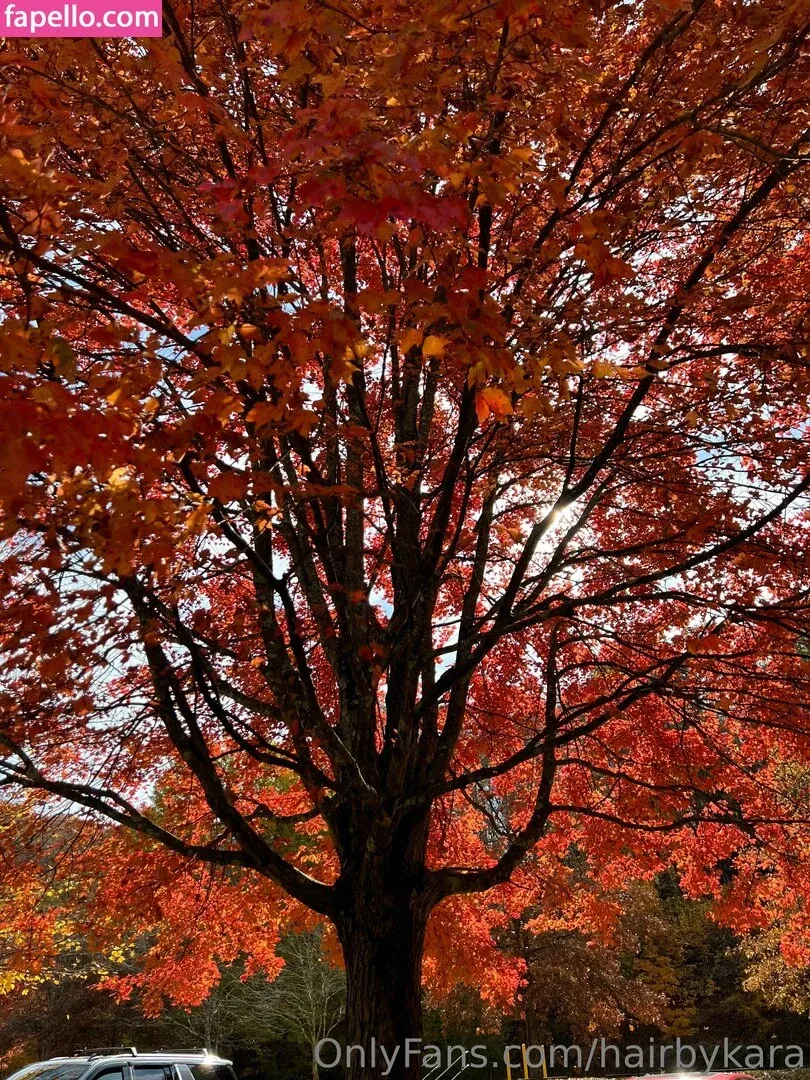 hairbyharleyy Onlyfans Photo Gallery 