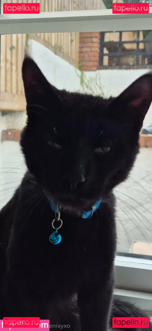 edenivyxo Onlyfans Photo Gallery 