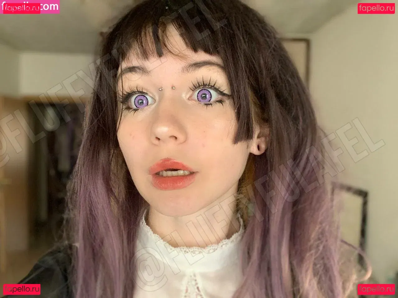 fluffyfulafel Onlyfans Photo Gallery 