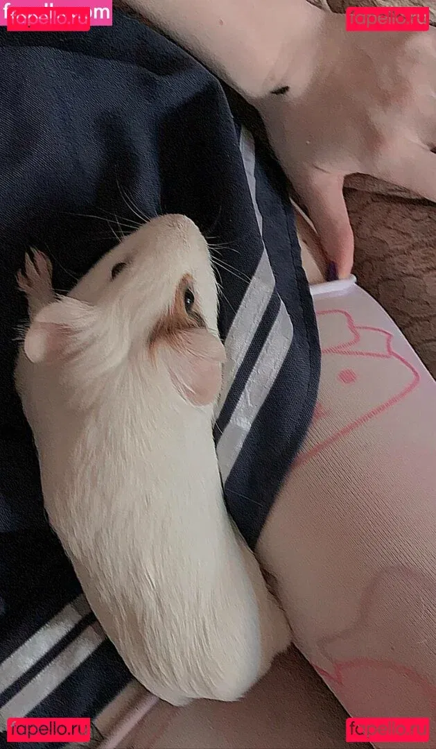 fluffyfulafel Onlyfans Photo Gallery 