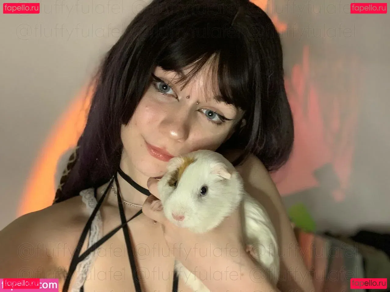 fluffyfulafel Onlyfans Photo Gallery 