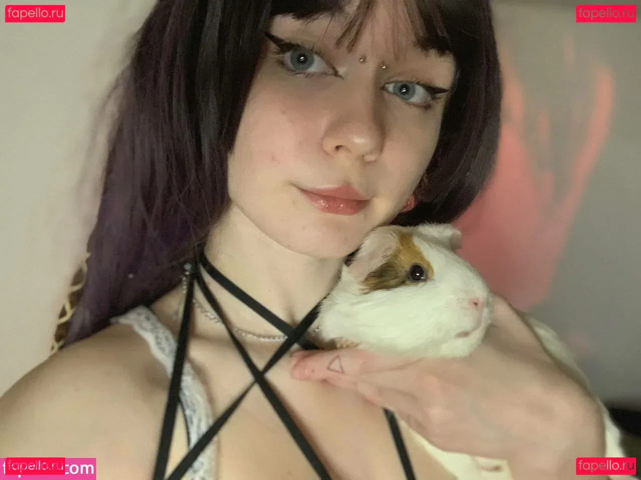 fluffyfulafel Onlyfans Photo Gallery 