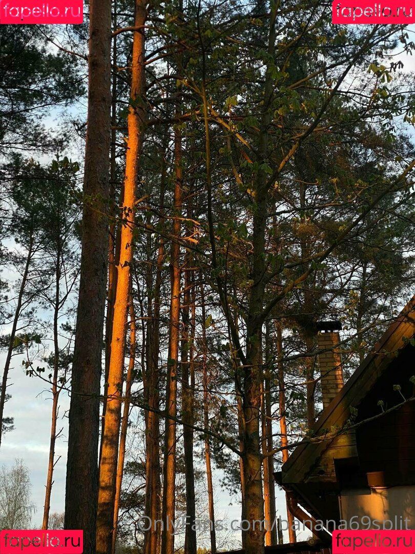 banana69split Onlyfans Photo Gallery 