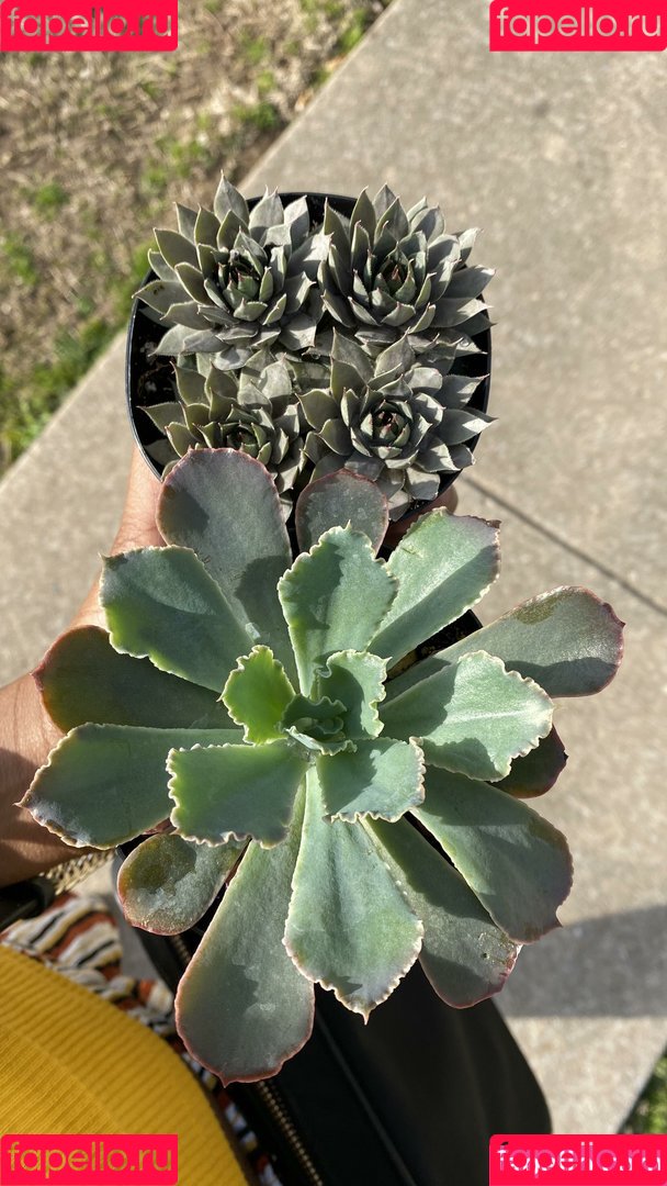 xoxozozo_ Onlyfans Photo Gallery 