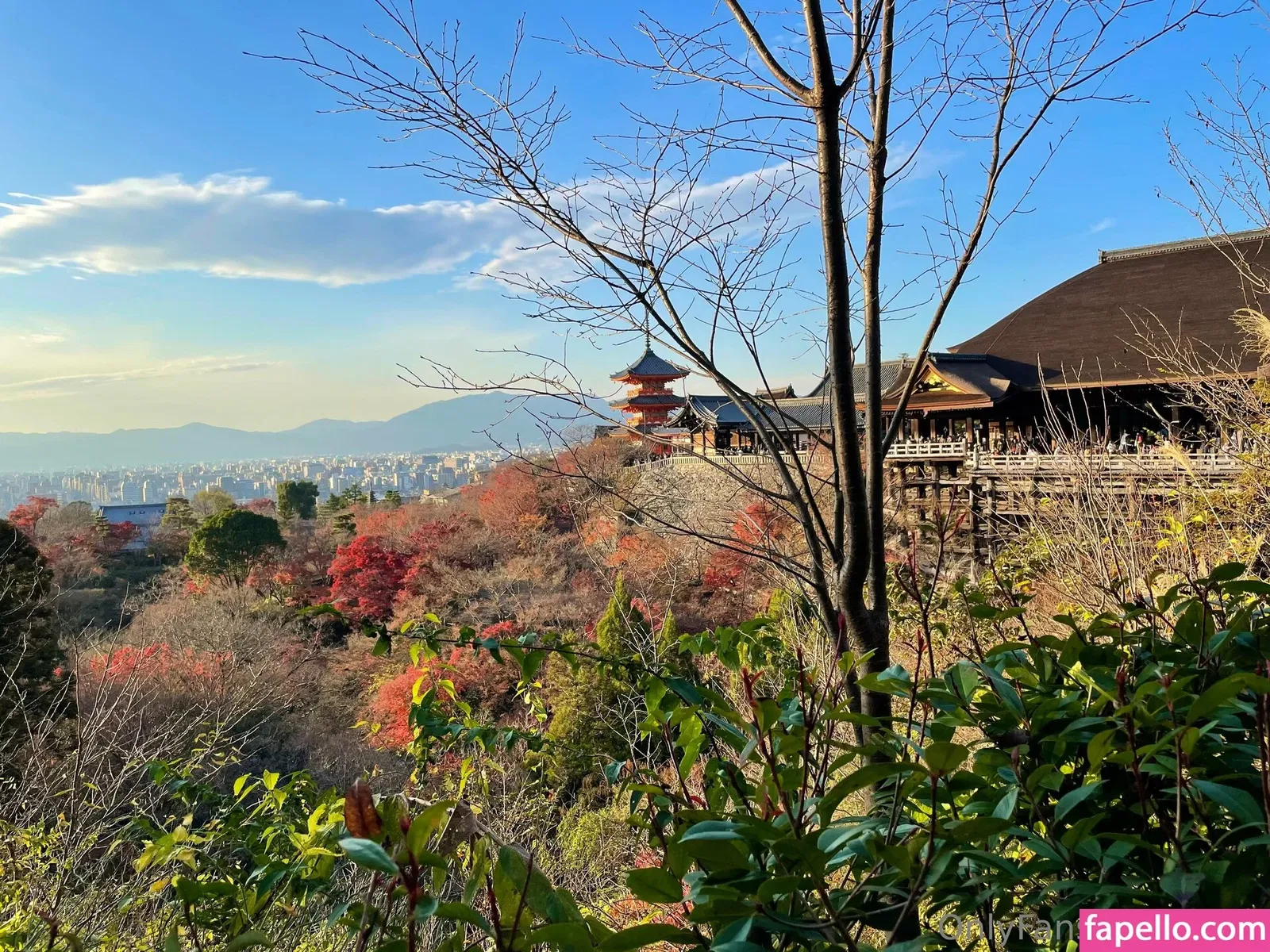 iorin Onlyfans Photo Gallery 