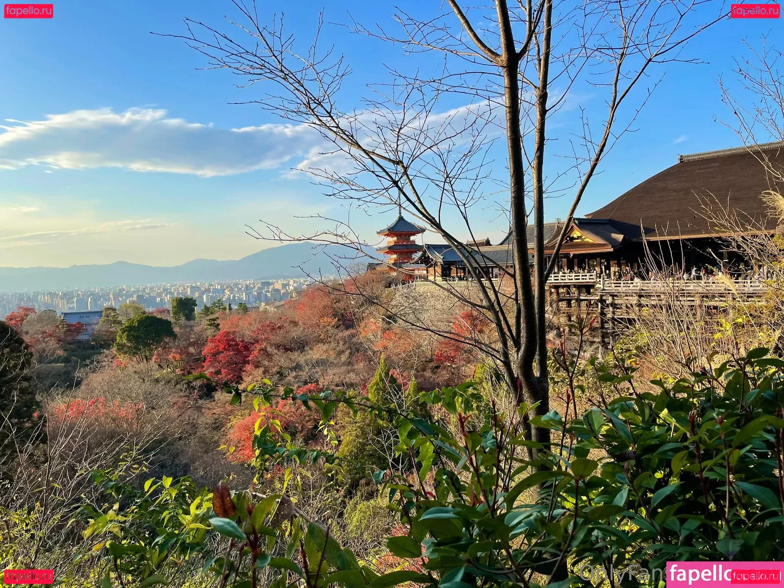 iorin Onlyfans Photo Gallery 