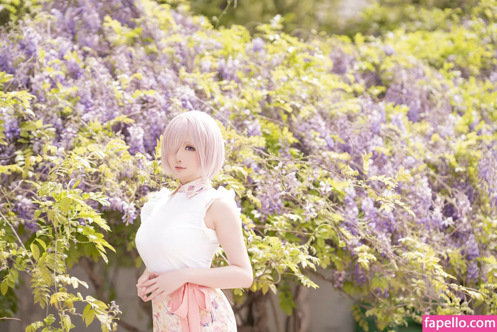 Hoshilily Onlyfans Photo Gallery 