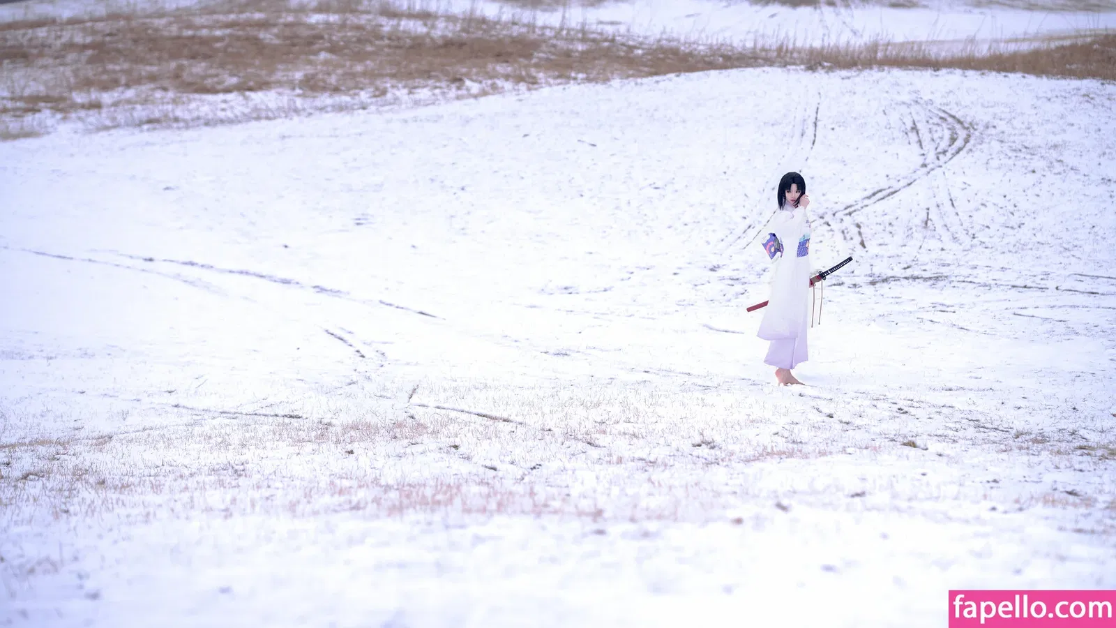 Hoshilily Onlyfans Photo Gallery 