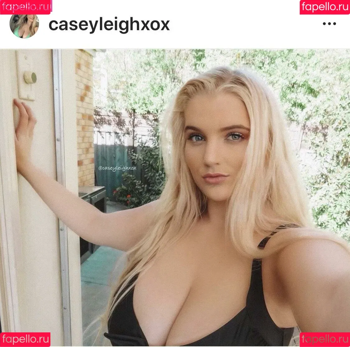 Casey Leigh Onlyfans Photo Gallery 