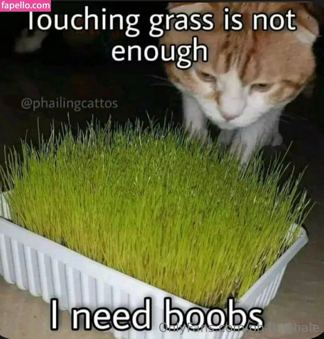 phat_whale Onlyfans Photo Gallery 