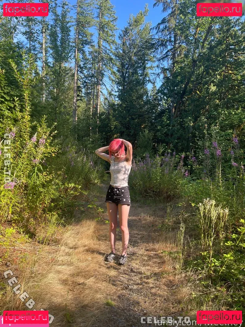 Tweetney Onlyfans Photo Gallery 