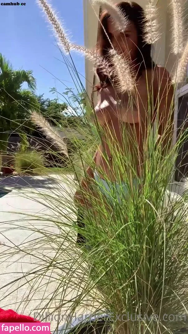 Dillion Harper Onlyfans Photo Gallery 