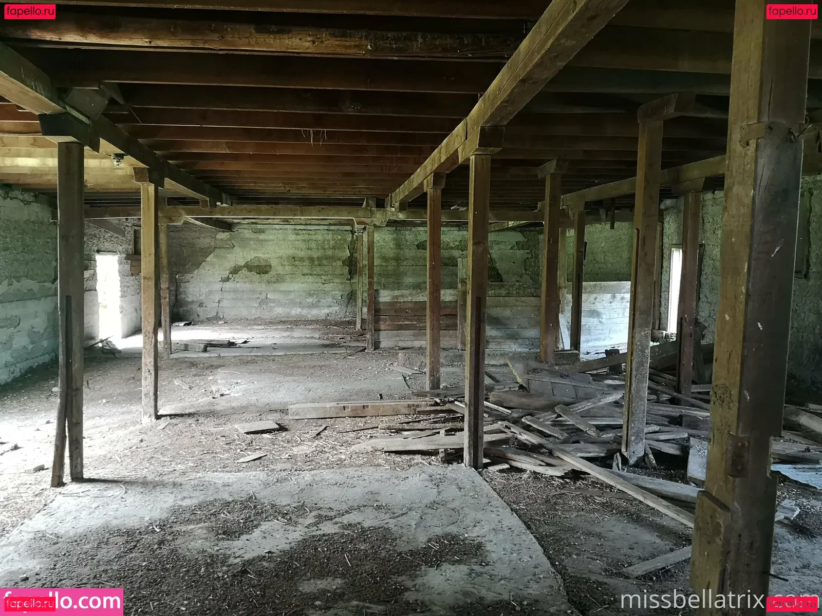 bellatrix Onlyfans Photo Gallery 