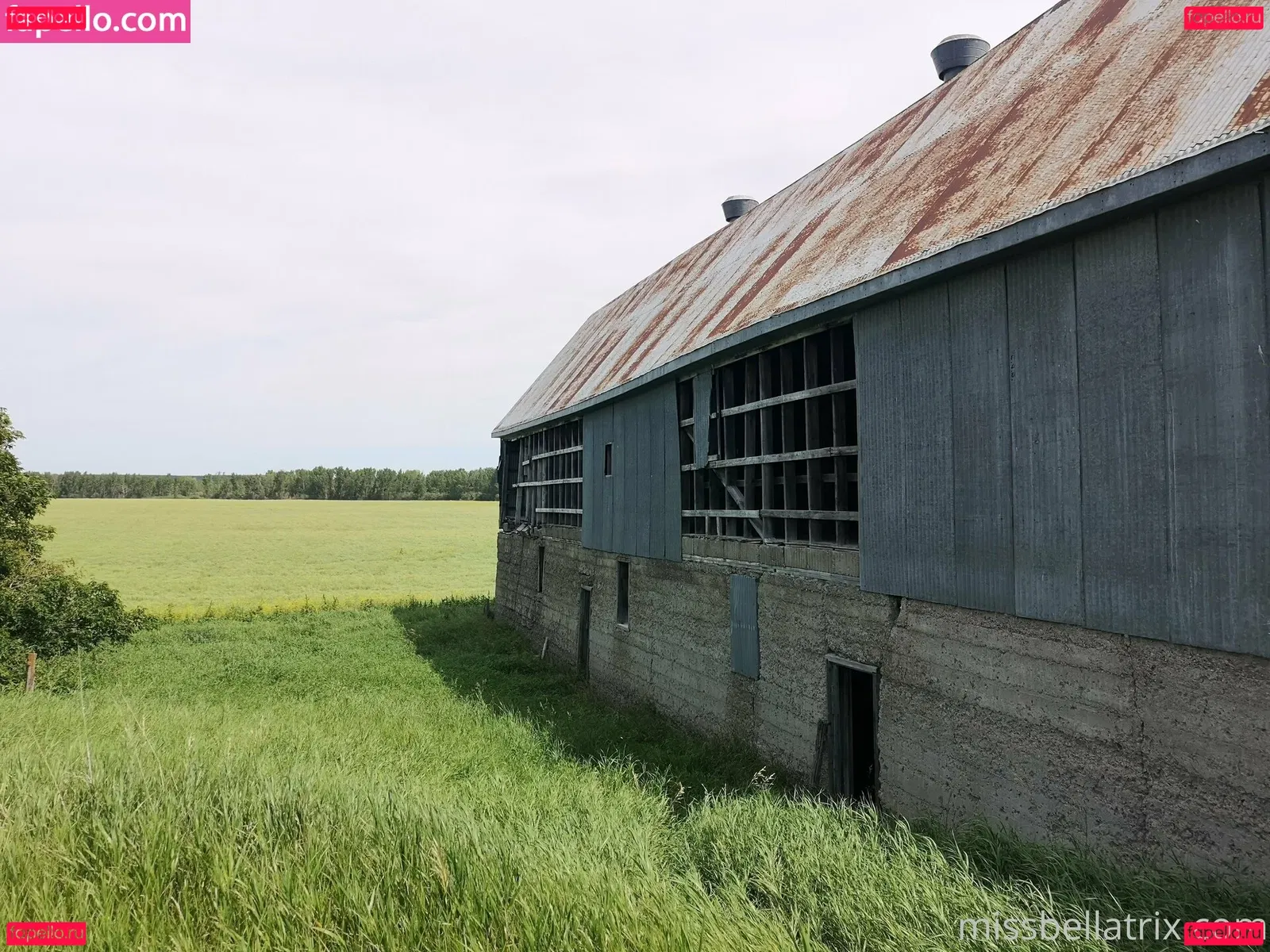 bellatrix Onlyfans Photo Gallery 