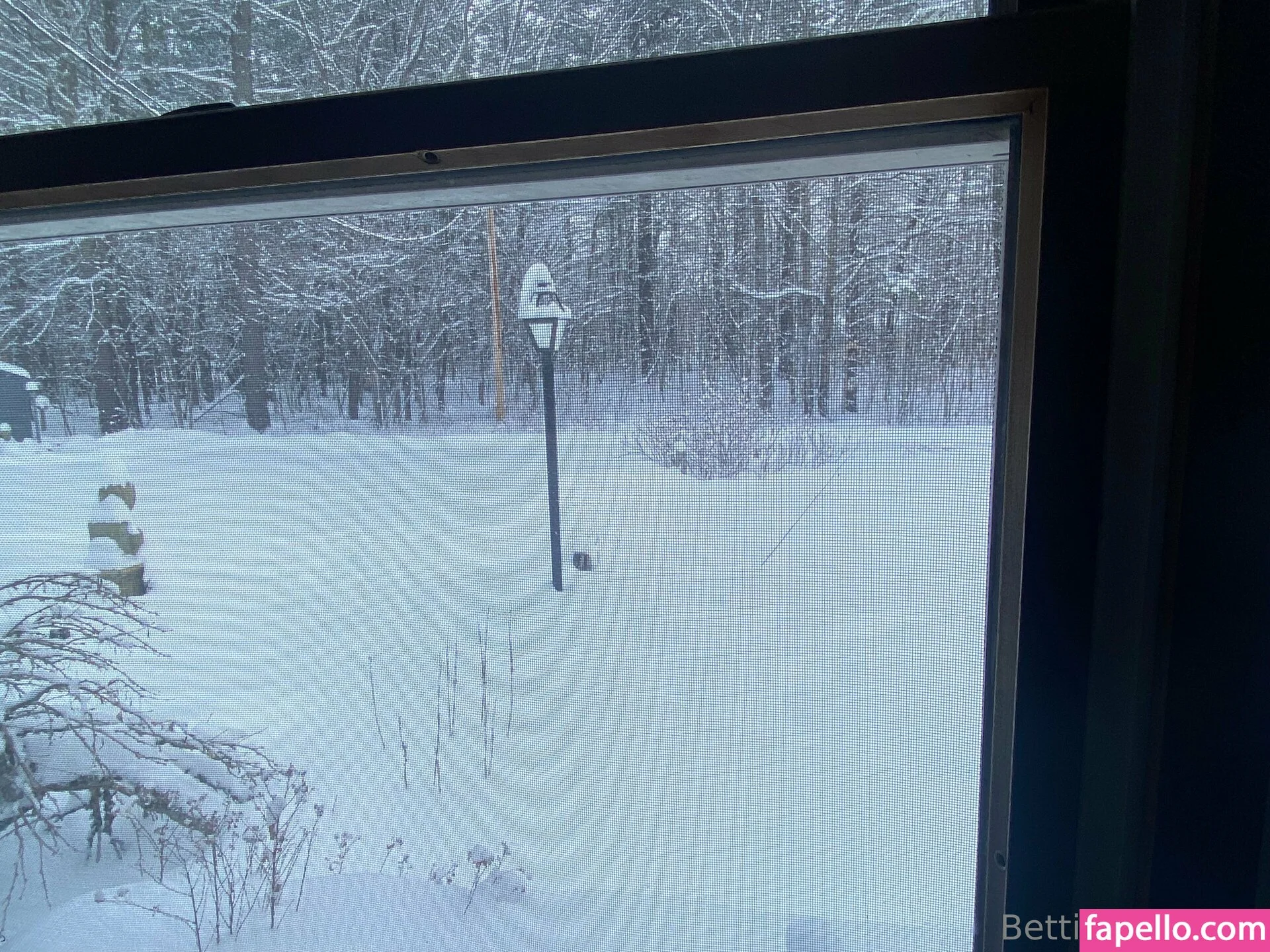 Bettie Bondage Onlyfans Photo Gallery 