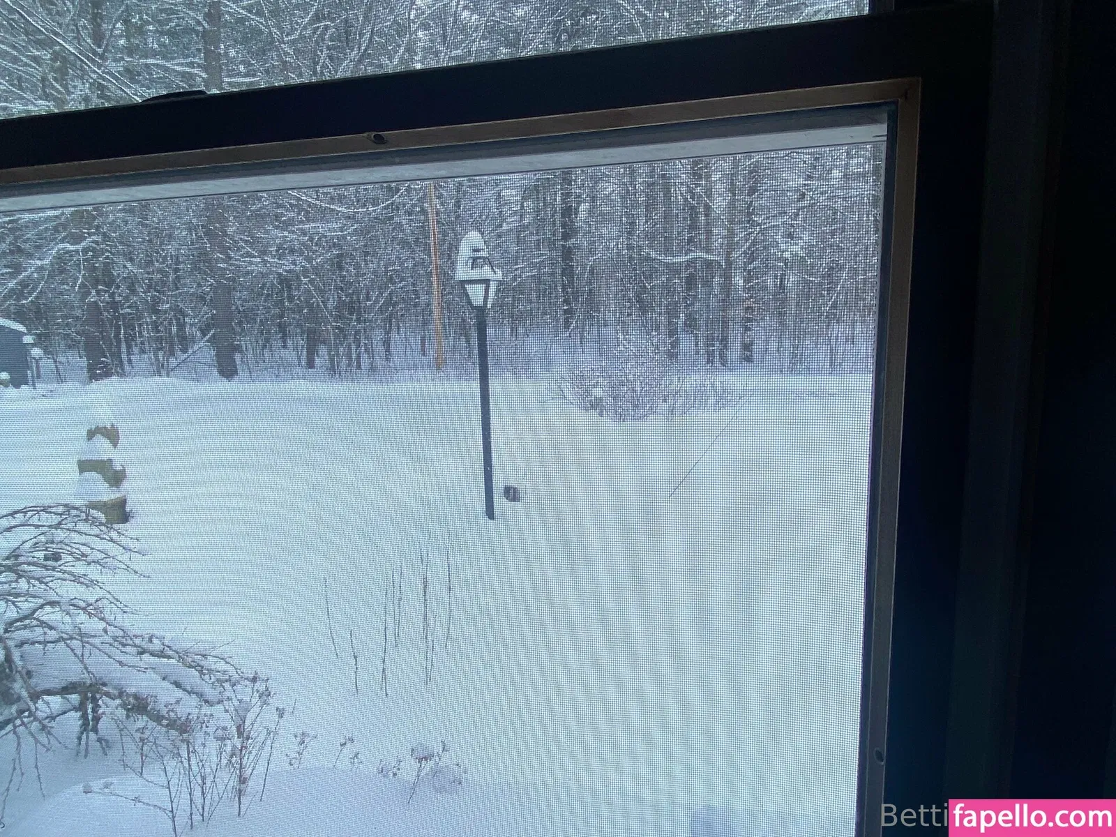 Bettie Bondage Onlyfans Photo Gallery 