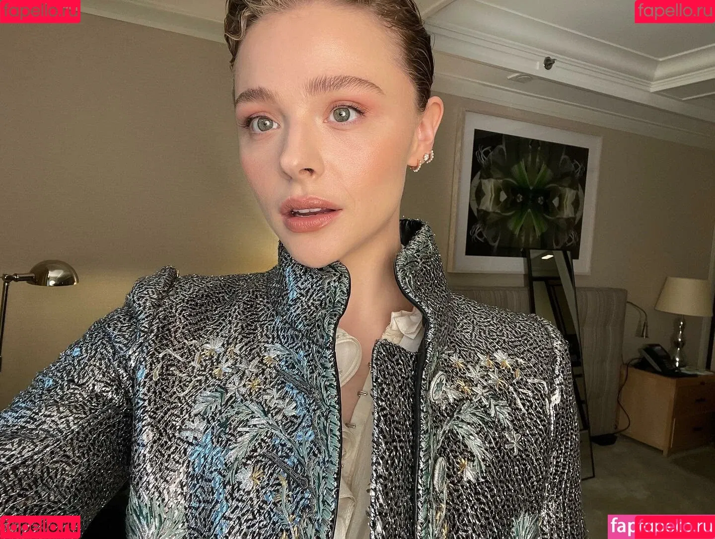 Chloë Grace Moretz Onlyfans Photo Gallery 