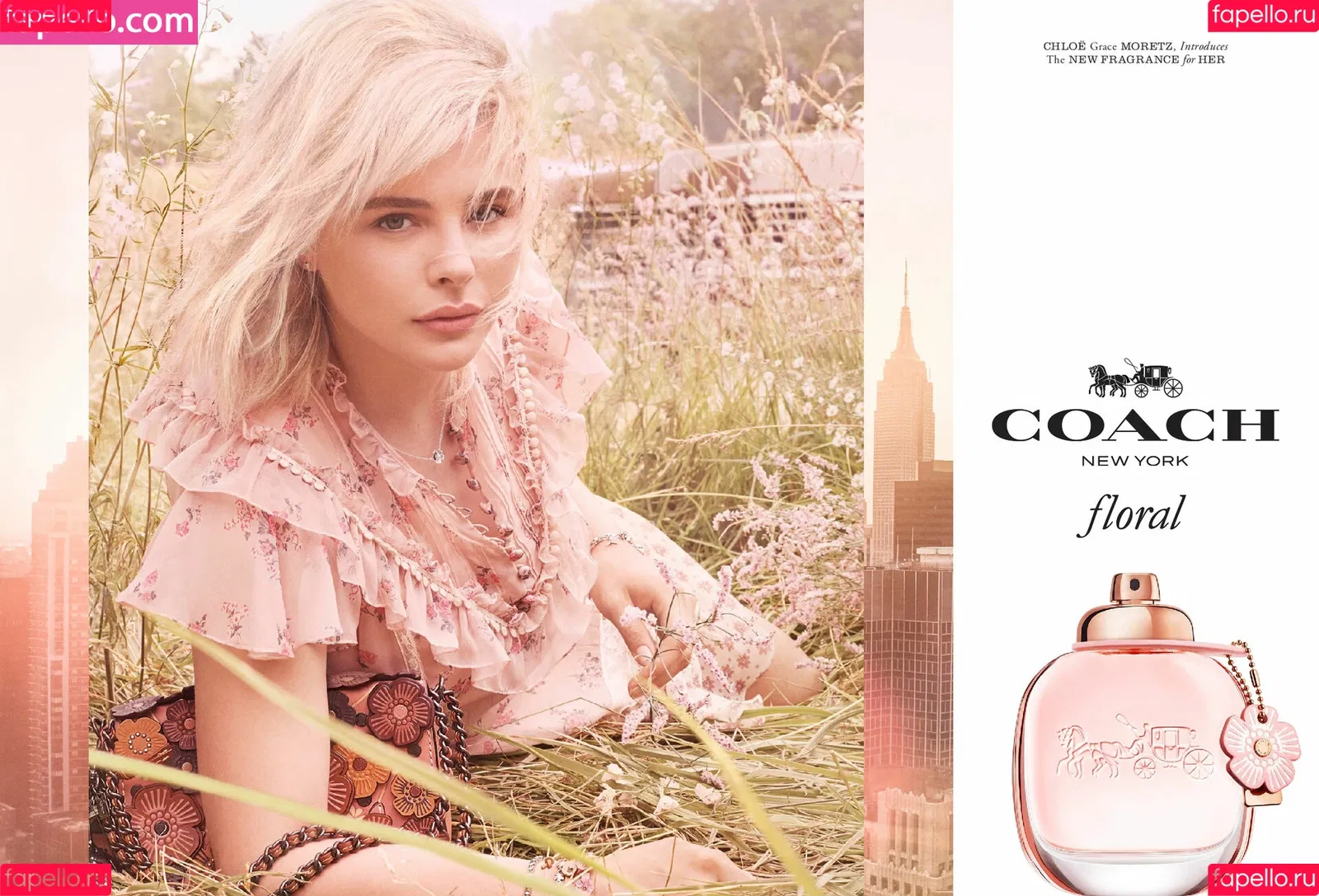 Chloë Grace Moretz Onlyfans Photo Gallery 