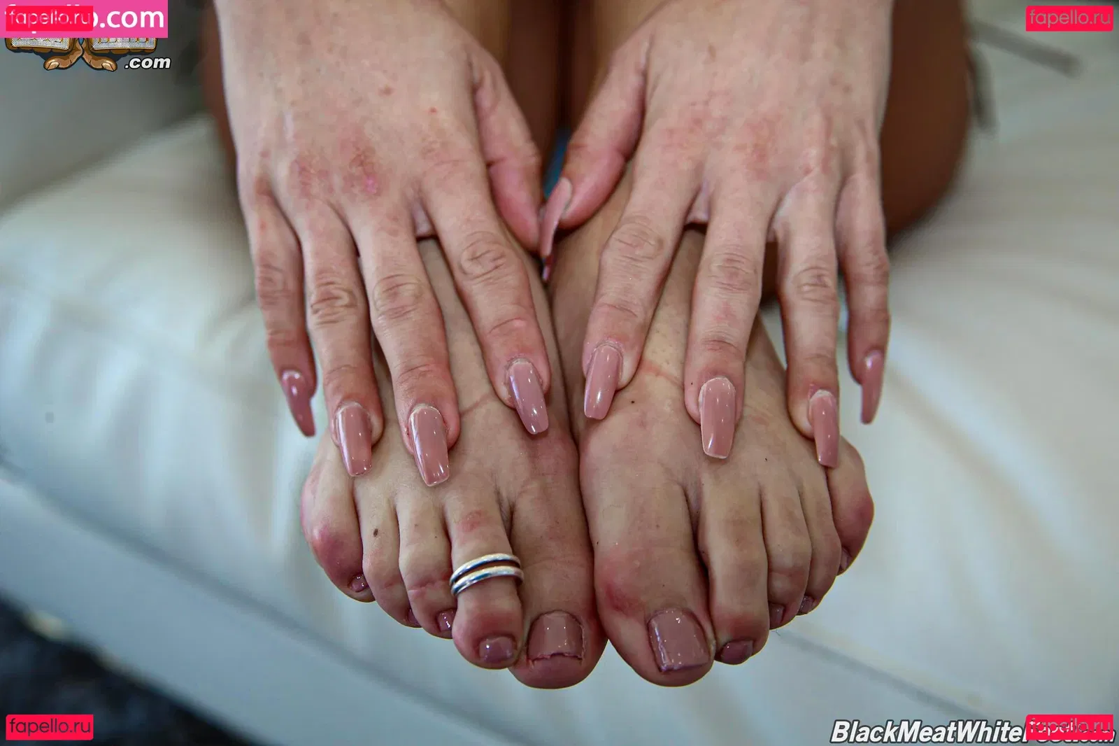 Brooklyn Chase Onlyfans Photo Gallery 