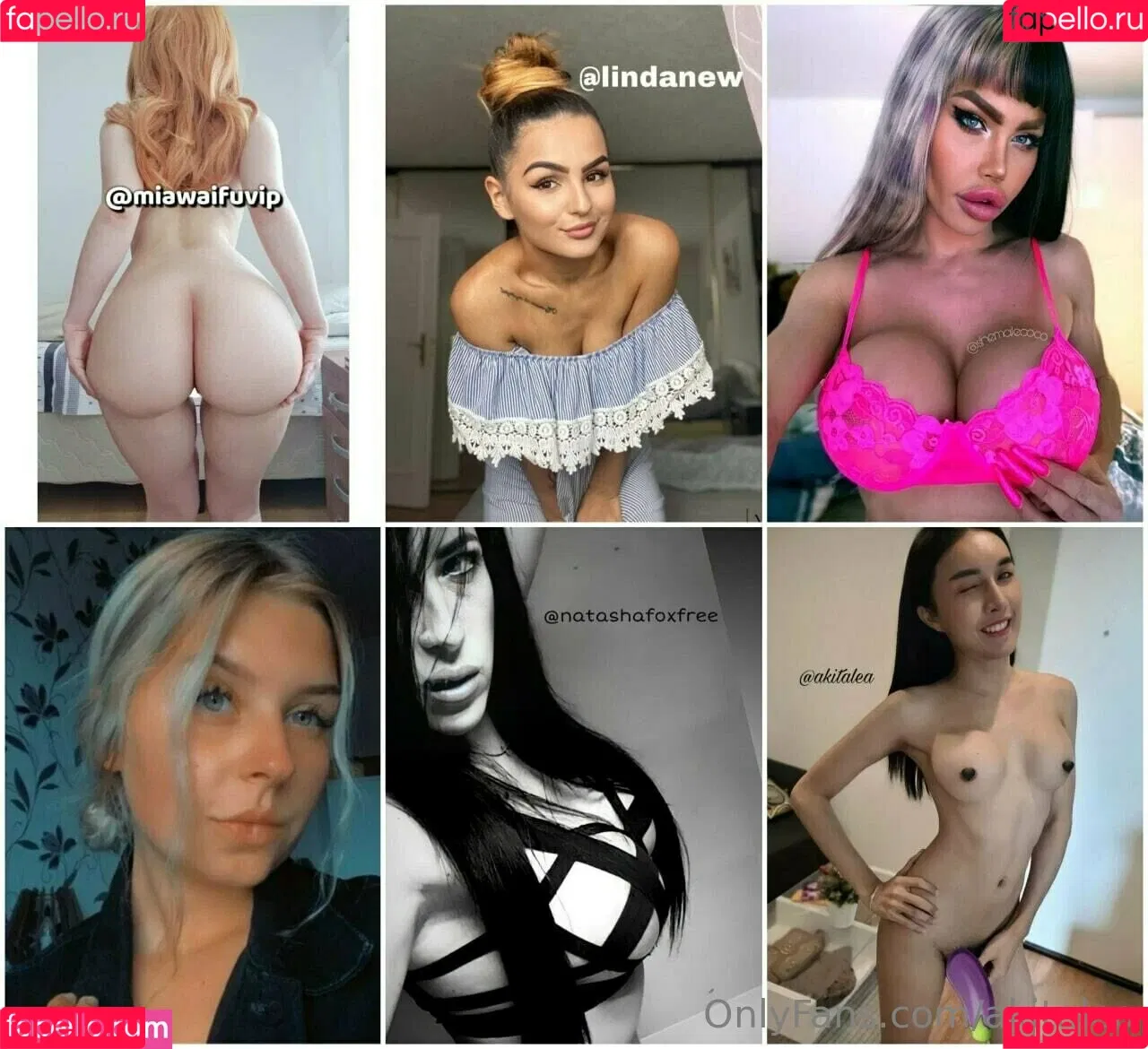 akitalea Onlyfans Photo Gallery 