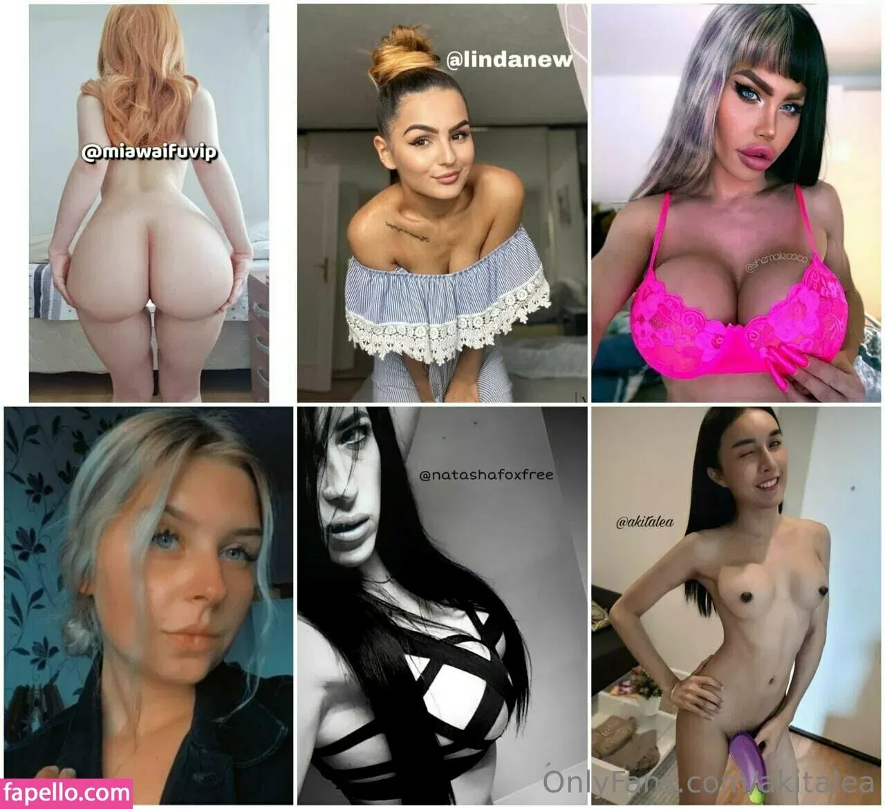 akitalea Onlyfans Photo Gallery 