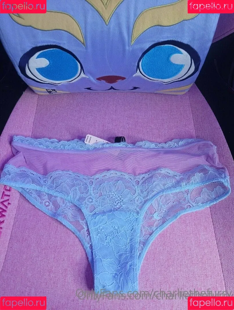 charliethefurry Onlyfans Photo Gallery 