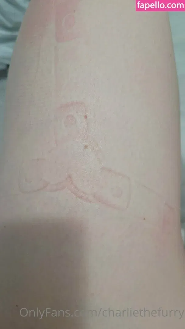 charliethefurry Onlyfans Photo Gallery 