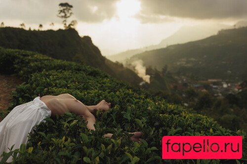 Ave Stone Onlyfans Photo Gallery 