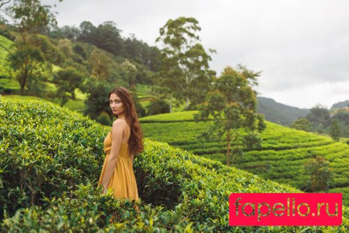 Ave Stone Onlyfans Photo Gallery 