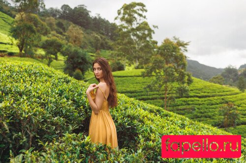 Ave Stone Onlyfans Photo Gallery 