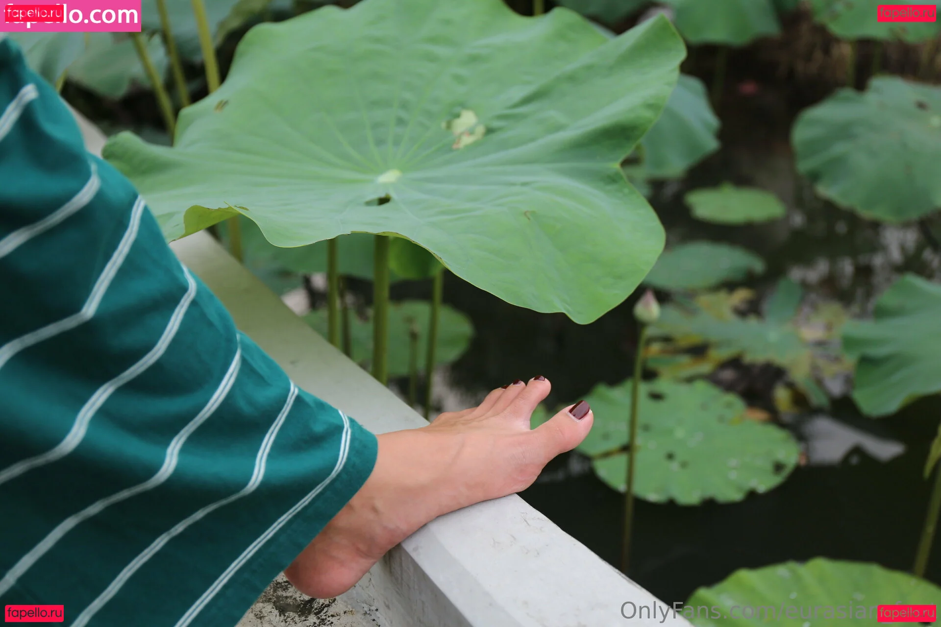 eurasian_feet Onlyfans Photo Gallery 