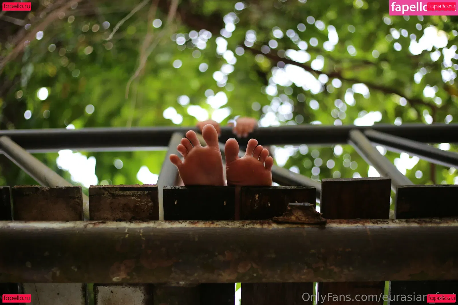 eurasian_feet Onlyfans Photo Gallery 