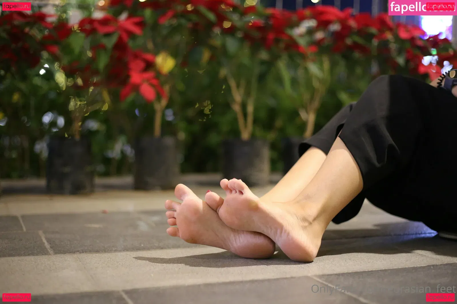 eurasian_feet Onlyfans Photo Gallery 