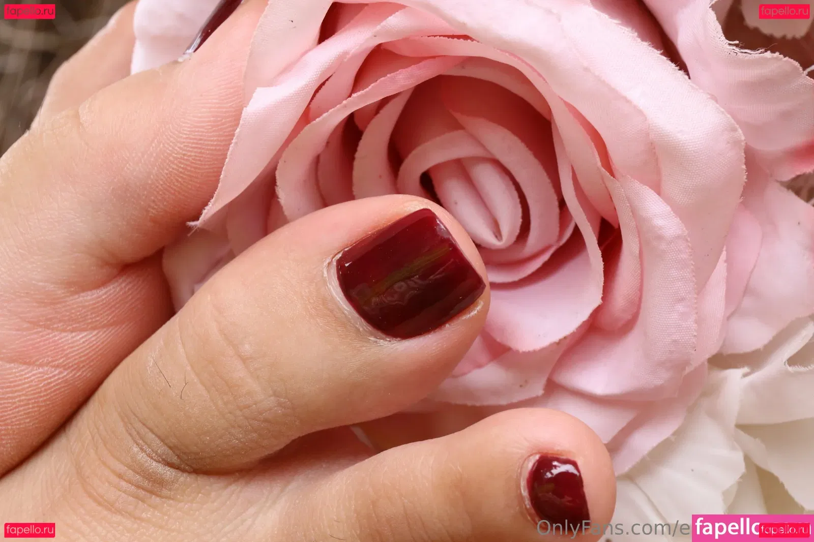 eurasian_feet Onlyfans Photo Gallery 