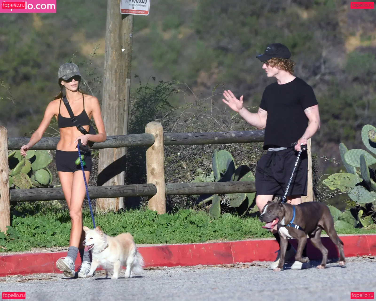 Kiwo Onlyfans Photo Gallery 