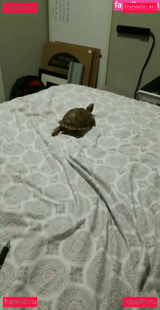 Jean Michaels Onlyfans Photo Gallery 