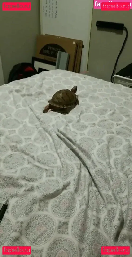 Jean Michaels Onlyfans Photo Gallery 