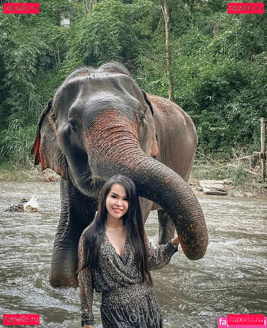 pingthai Onlyfans Photo Gallery 