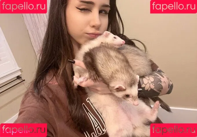 kiwisunset Onlyfans Photo Gallery 