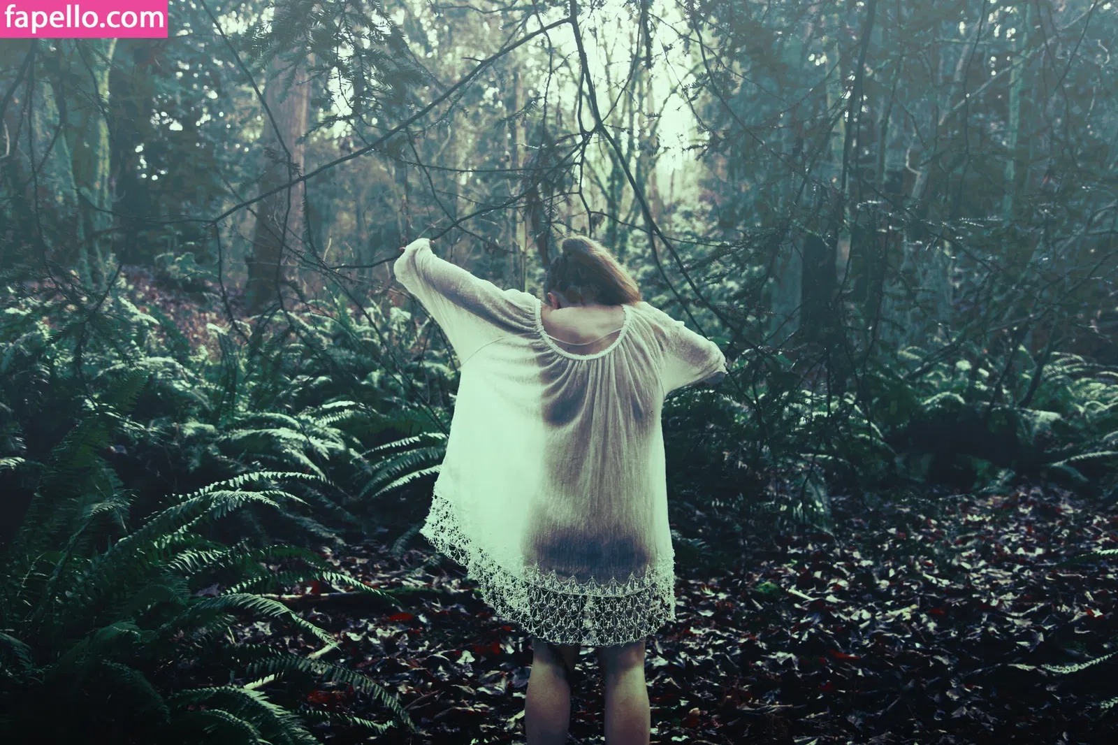 Shelby Onlyfans Photo Gallery 