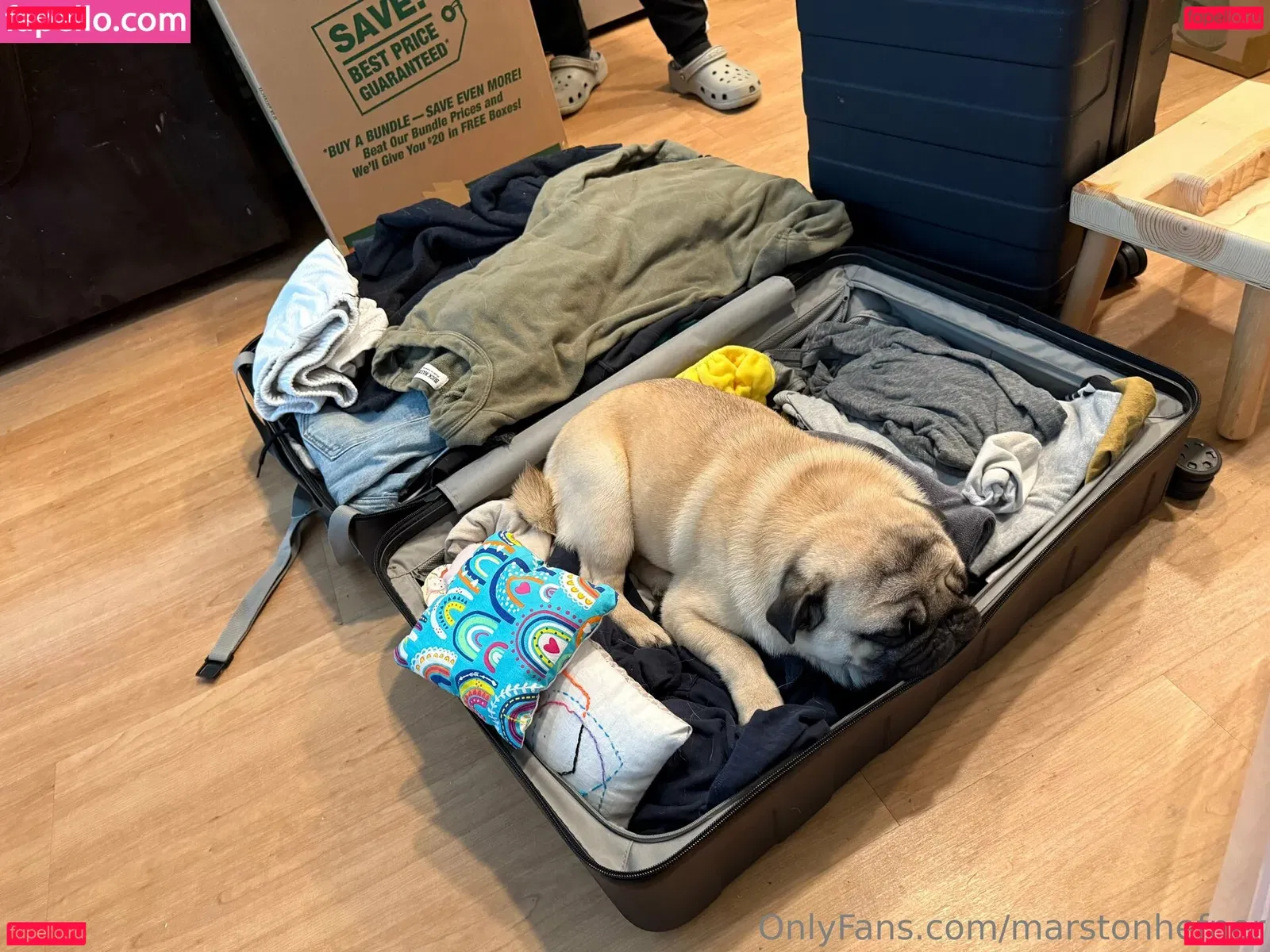 marstonhefner Onlyfans Photo Gallery 