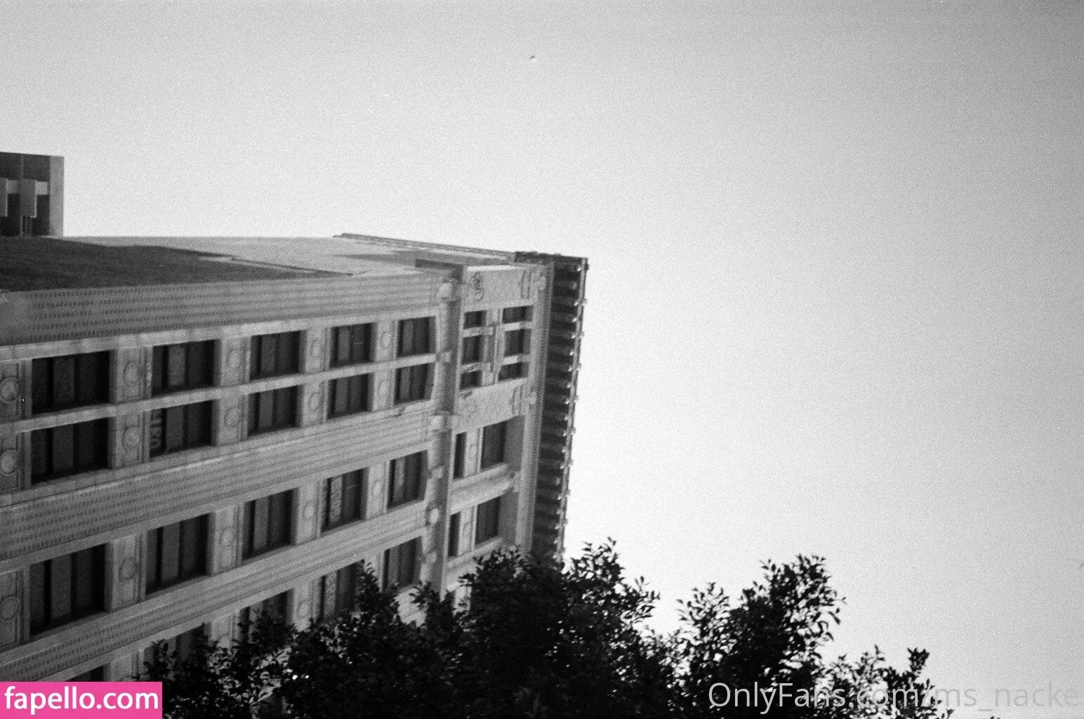 ms_nacke Onlyfans Photo Gallery 