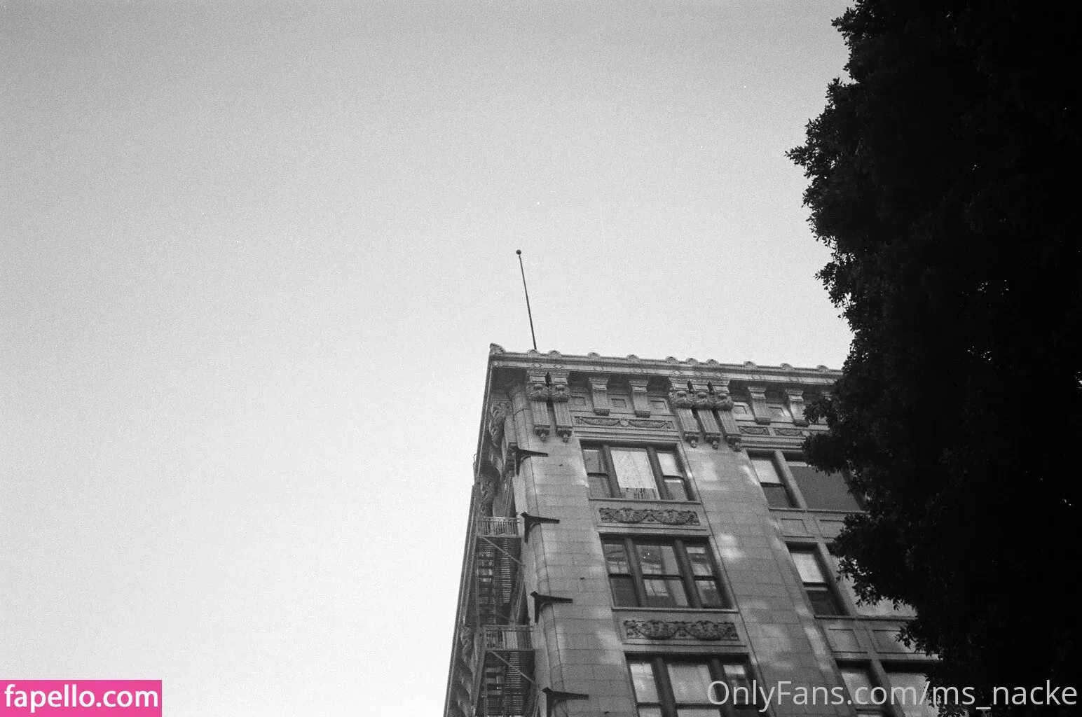 ms_nacke Onlyfans Photo Gallery 