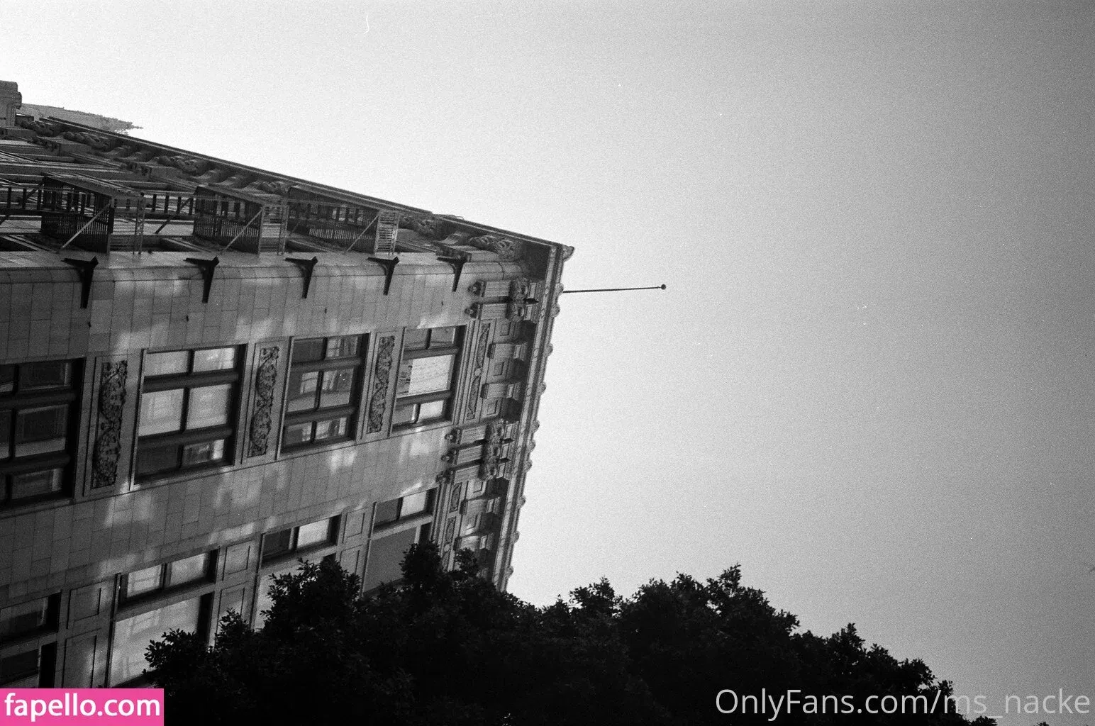 ms_nacke Onlyfans Photo Gallery 